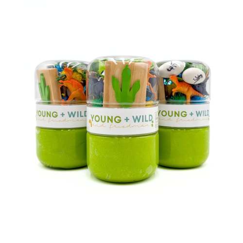 Dinosaur Grab & Go Dough Jar