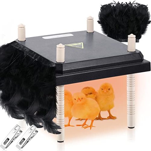 Treela Chick Brooder Heating Plate 10 x 10 Inch Adjustable Height Chick Brooder Heater with Feather Band and 2 Pcs Stainless Steel Clips for Baby Chicken Poultry Duckling, 15w