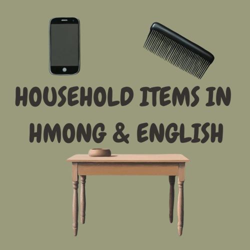 Household Items in Hmong and English