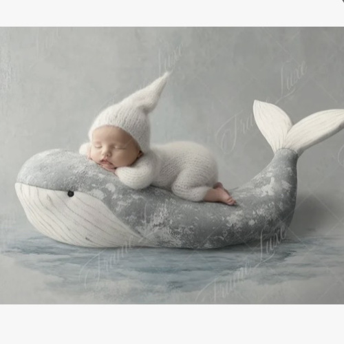 Newborn Photography Fund