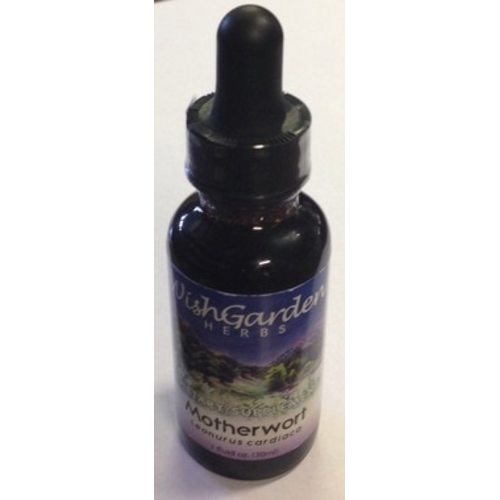 Motherwort - In His Hands Birth Supply