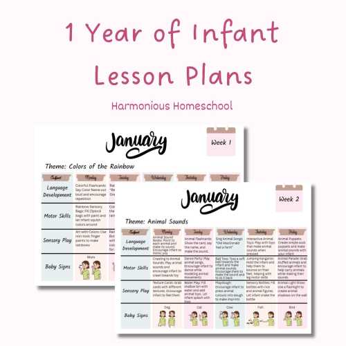 1 Year Infant Curriculum Bundle: 12 Months of Lesson Plans, Baby Sign Language & More