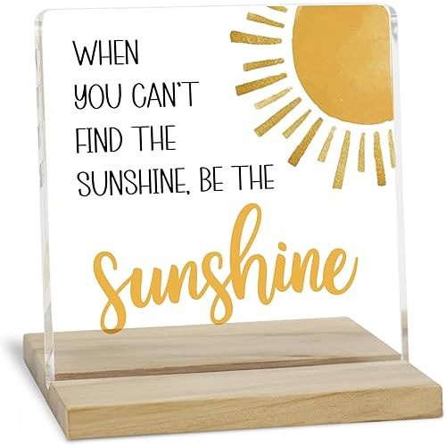 Be the Sunshine Motivational Decor Sign, Sunshine Gifts for Women Acrylic Plaque