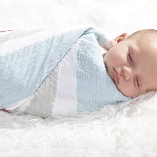 Aden + Anais Cotton Muslin Swaddle 4-Pack - Liam The Brave.