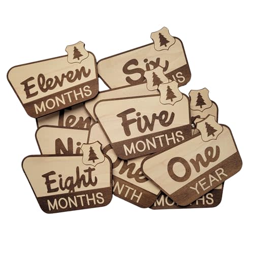 Handmade by cherelle lynne National Parks & Recreation Milestone Markers | First Year Newborn Photography Prop | Infant Monthly Tracker Signs | Laser Cut Engraved Milestone Markers
