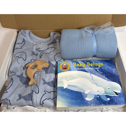 Baby Boy Shower Gift, Ocean Themed Newborn Box Book, Pajama’s, Blanket & Teether
