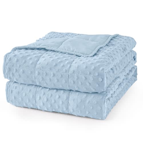 Mr. Sandman Weighted Blanket for Adults, Full Size 15 lbs, 48 x 72 Inches | Cooling Soft Minky for Hot Sleepers; Machine Washable; Filled with Glass Beads; Heavy Bed Throw for Sleep; Light Blue