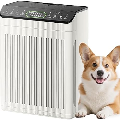 Air Purifiers for Home Pets Up to 2200Ft² Pre-Filter Washable, Ivory