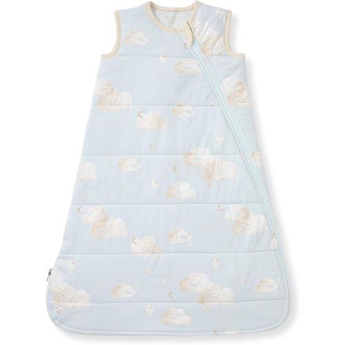 Burt's Bees Baby Unisex Newborn Essentials 100% Organic Cotton Beekeeper Wearable Blanket