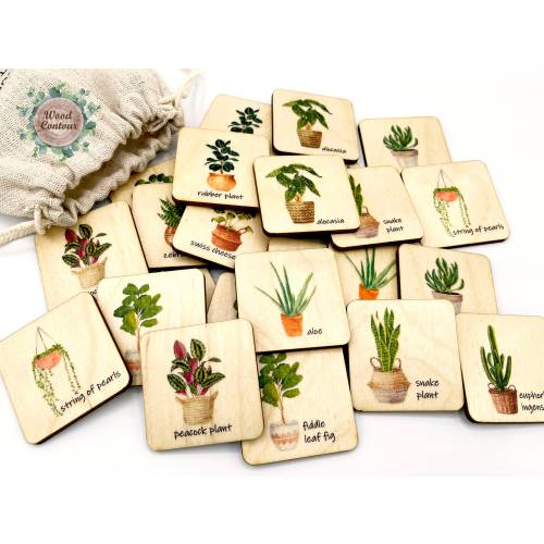 Montessori Wooden house plant memory game/ Homeschool Preschool Kindergarten plants matching activity