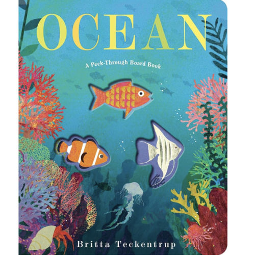 Ocean: A Peek-Through Board Book