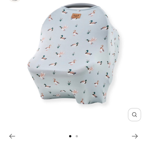 Car Seat Cover in Mallard Duck