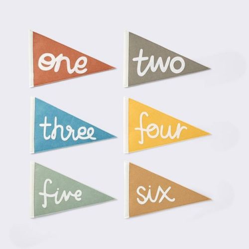 Milestone Felt Pennants - Multi Color - Cloud Island™