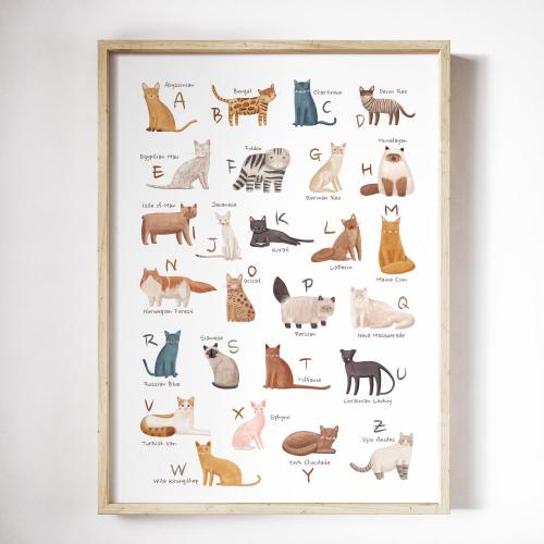 Cat Alphabet print for Cat lovers,  Kitten alphabet poster, print cat wall art, ABC art print, kitty nursery  educational decor