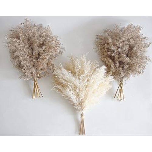30 PCS Boho Decor, Fluffy Pompas Grass, Natural Dry Pampas Grass Small, Short Pampass Bulk for Boho Room, Coffee Table Decor (17 inch )