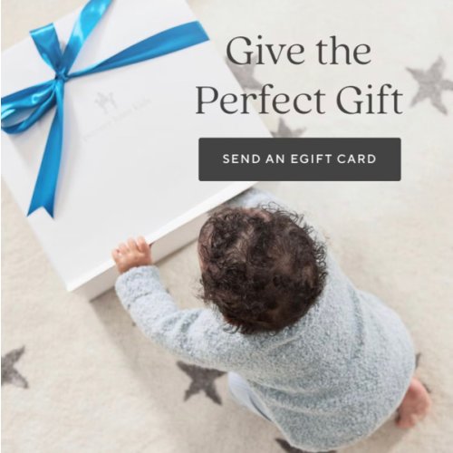 Pottery Barn Kids Gift Card