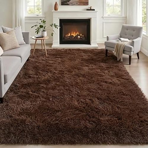 Fluffy 5x7 Area Rugs for Living Room Bedroom: Ultra Soft Shag Rug Non-Slip Non-Shedding Small Plush Bedside Rug Indoor Floor Carpets for Kids Room Playroom Entryway Nursery Dorms Home Decor Brown