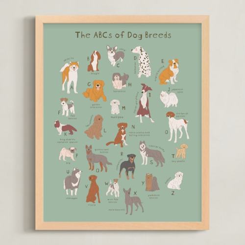 ABCs of Dog Breeds Limited Edition Children's Art Print by Vera Lim