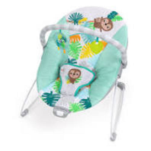 bright starts baby bouncer - or similar simple bouncer
