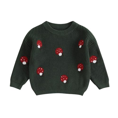 Toddler Baby Girl Knit Sweaters Oversized Long Sleeve Embroidery Shirt Top Newborn Infant Cute Fall Winter Clothes
