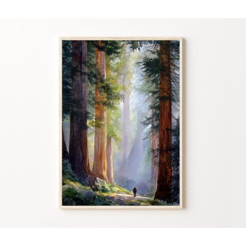 Redwood Forest Travel Poster, California Wall Art, Redwood Print, Watercolor Landscape Poster, Hiking Adventure Artwork, Home Decor