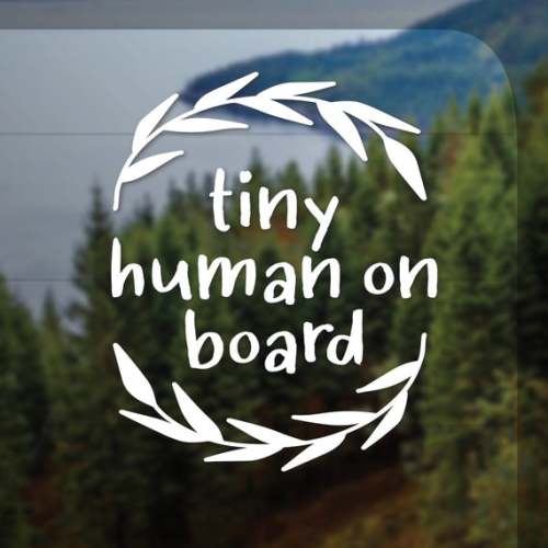 Tiny Human On Board Vinyl, Baby On Board Decal Sticker Sign for Car, Baby Shower Gift