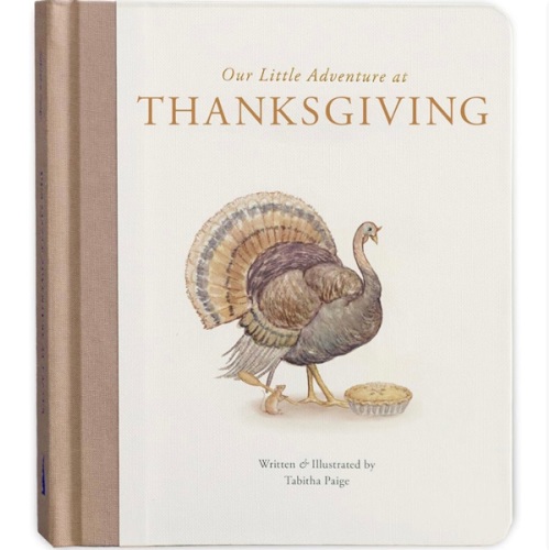 Our Little Adventure at Thanksgiving: Featuring Foundational Language Concepts and Lessons on Gratitude (Tabitha Paige Children's Book Series)