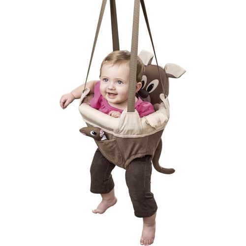 Evenflo Exersaucer Johnny Jumper Featuring Easy-to-Use Clamp Attachment for Quick and Tool-Free Set Up and Adjustable Straps to Customize The Height for Your Child, Roo