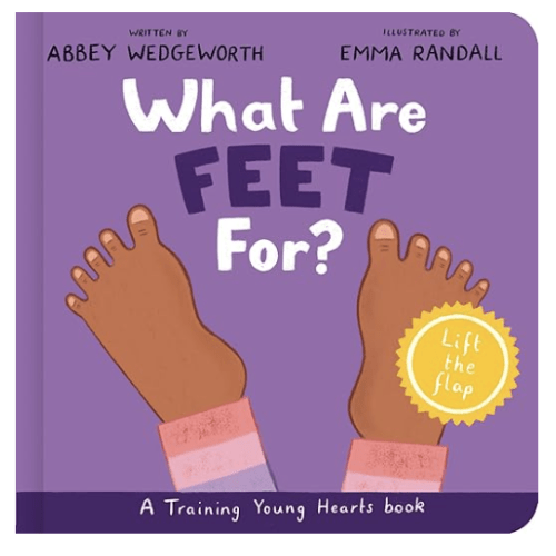 What Are Feet For? Board Book: A Lift-the-Flap Board Book