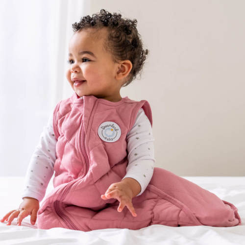 Dreamland Baby | Weighted Sleep Sacks & Swaddles 6-12