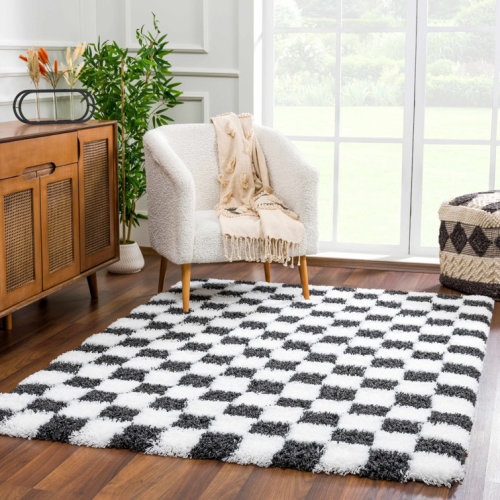 Atiray Shag Checkered Modern Black / White Area Rug