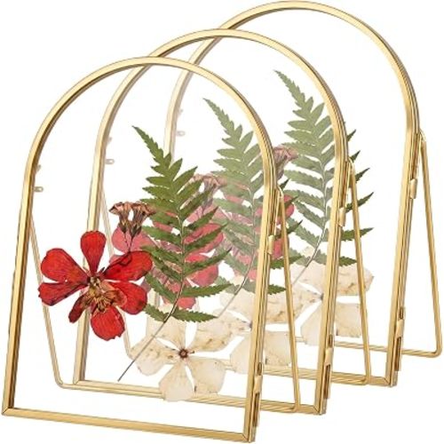 5 x 7 Inch 3 Pcs Double Glass Arch Frame Pressed Flowers, Golden