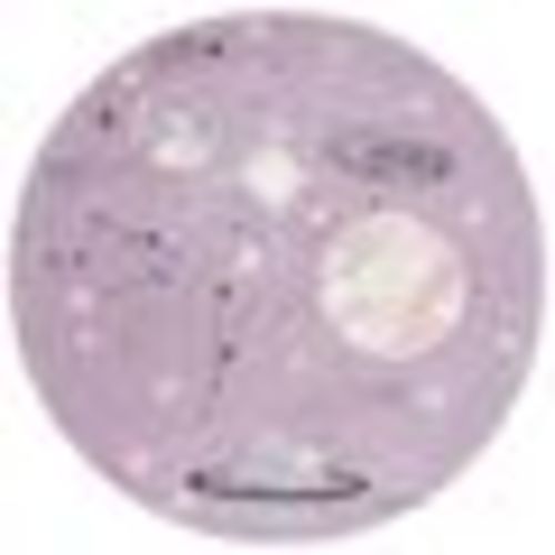 Carousel Kids 5 ft. x 5 ft. Purple/Orange Galaxy Round Area Rug