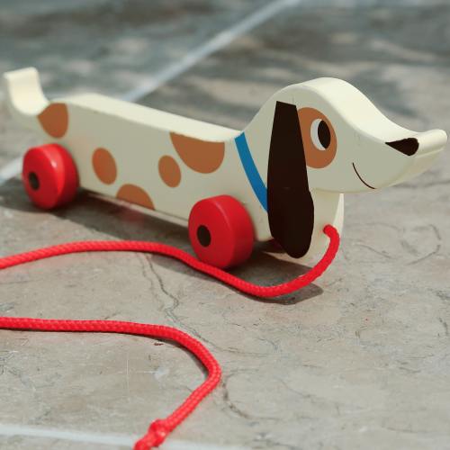 Charlie The Sausage Dog Wooden Pull Toy