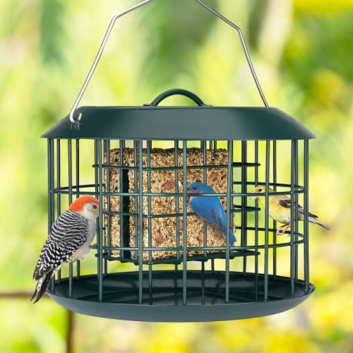 Kingsyard Metal Caged Squirrel Proof Suet Feeder