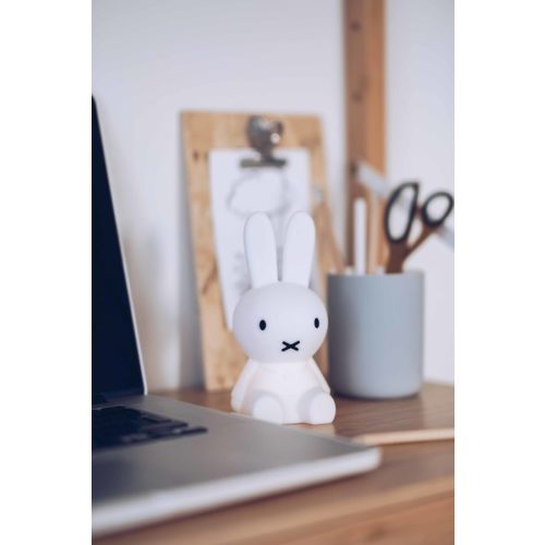 miffy bundle of light | only at miffytown