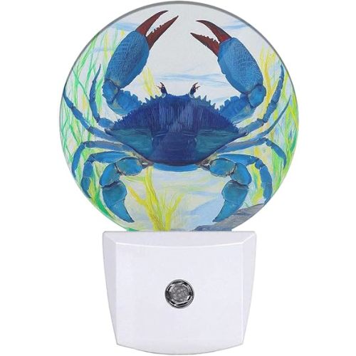 Blue Crab Night Light Shellfish Sea Grass Night Lights Plug into Wall 0.5W LED Lighting Auto on/Off for Hallway Stairway Kitchen Home Decor