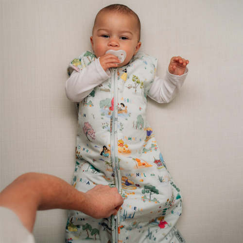 Disney Sleep Bag- Enchanted Kingdoms – Milk Snob