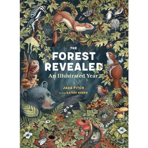 The Forest Revealed: An Illustrated Year