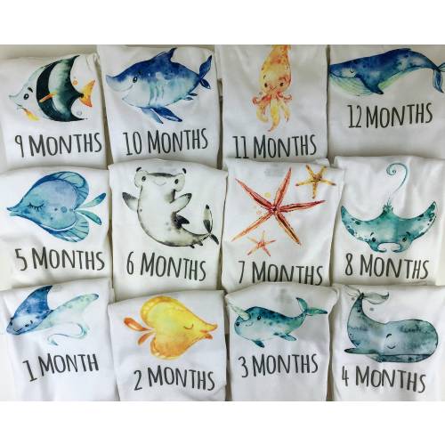 Milestone Onesies, Under the Sea Onesie, Monthly Onesies, 12 month milestone shirts, first year monthly photo, cute baby Onesie set