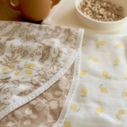 Boutique Silky Soft Burpy Bibs 2 Pack | aden + anais