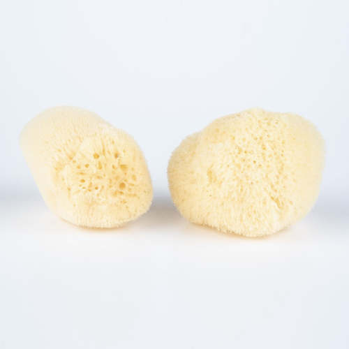 Sea Sponge - All Natural – Napa Soap Company
