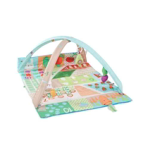 Farmstand Grow & Play Activity Gym | Carter's