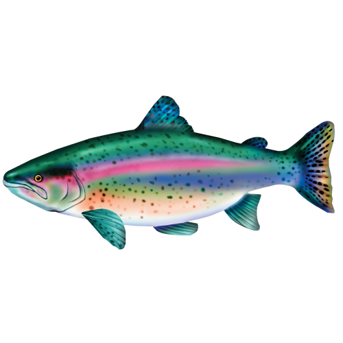 Bass Pro Shops Giant Stuffed Rainbow Trout for Kids