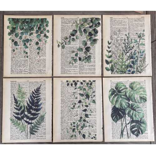 Plant Themed dictionary prints - 6 piece set - Watercolor Plant print, Art on dictionary page - printed on vintage dictionary pages #996
