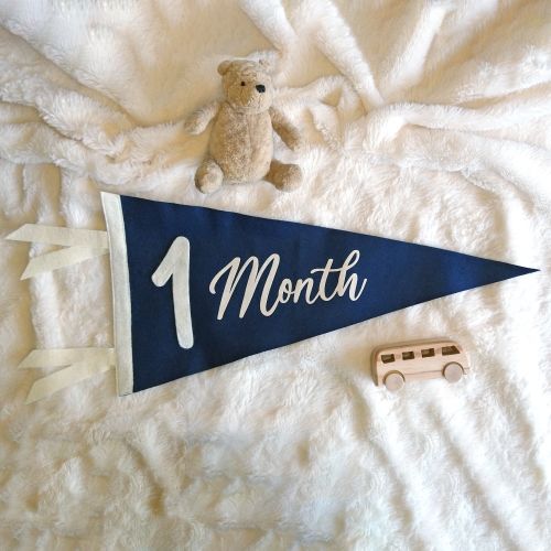 Baby Monthly Milestone Pennant: Soft Felt Photo Prop Kit for Newborn-21 Months