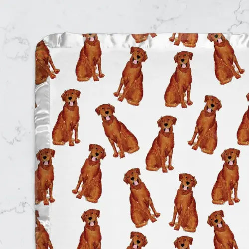 Lab Jersey Swaddle Blanket