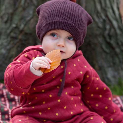 Red Stars Hooded Snug Suit – Little Green Radicals