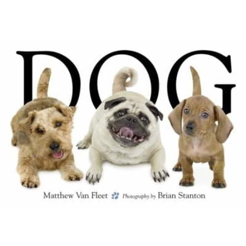 Dog (Board Book)