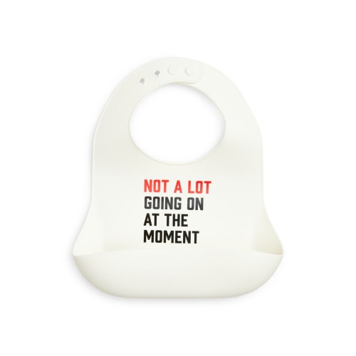 Not a Lot Wonder Bib